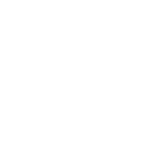 Ace 1-2-1 Tuition Logo